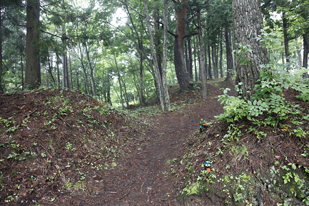 畑谷城 - 06