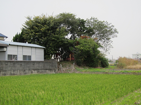 船上城 - 1