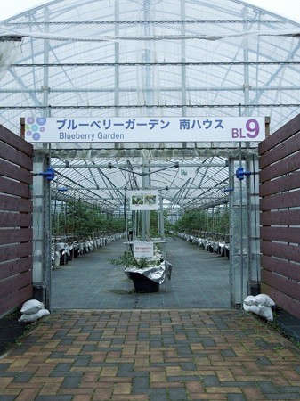 DSCN3121