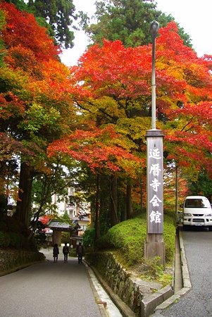 IMGP5734