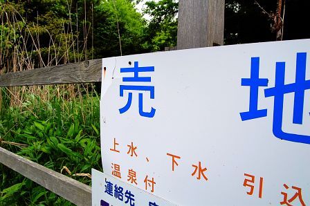 桃苑の向かい