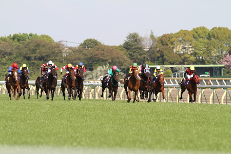2011 satsuki1