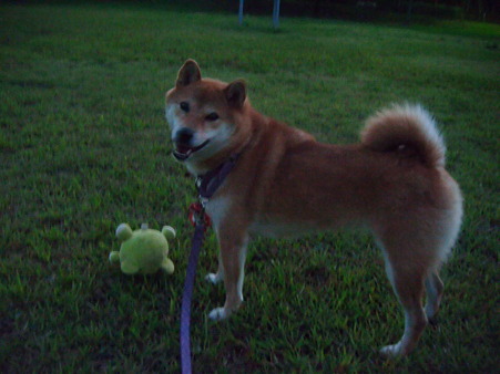 2010_09170074