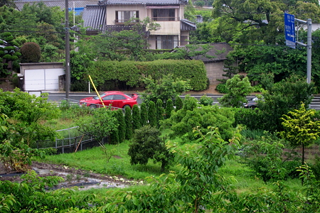 パパラッチｗ