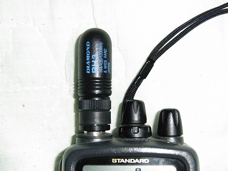 RIMG3104