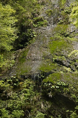 小滝1