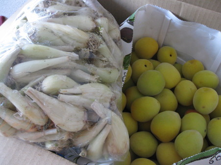 らっきょう1kg 南高梅4kg