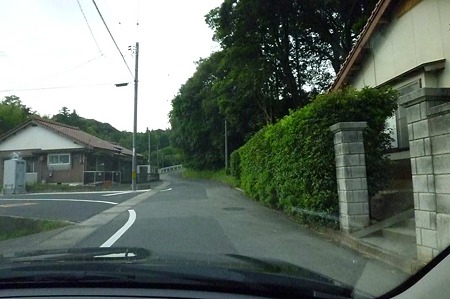 1106220637_P1750466