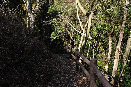 1001041328_DSC_9848