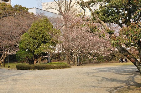 1003221625_DSC_1334