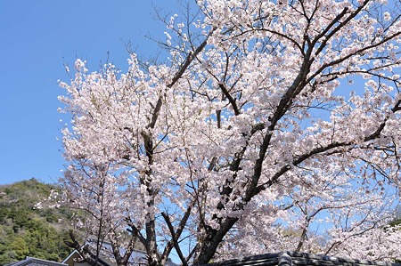 1004081221_DSC_2013