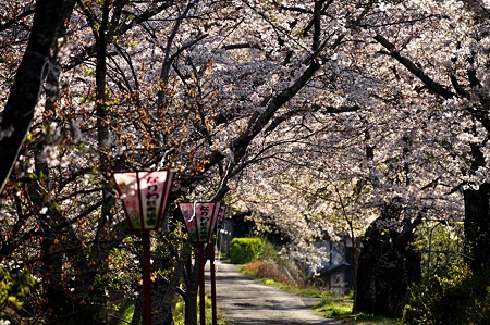 1004081653_DSC_2710