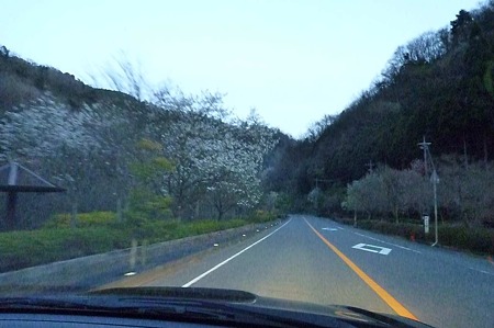 1004081836_P1640618