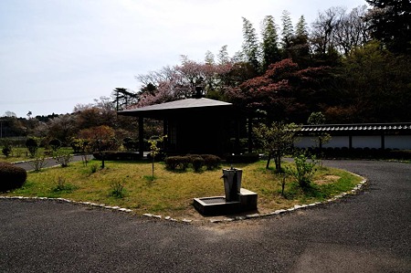 1005030847_DSC_2940