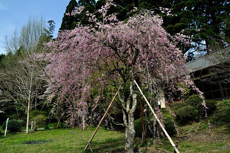 1005030848_DSC_2946