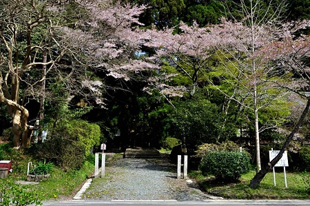 1005030903_DSC_3036