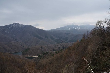 1005040946_DSC_4394
