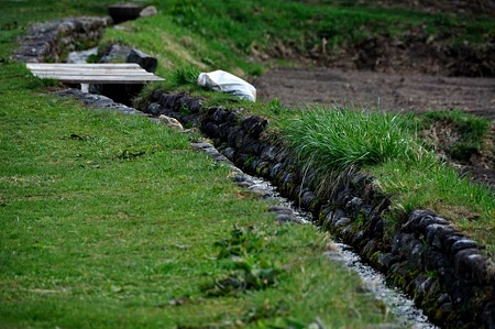 1005041703_DSC_4805