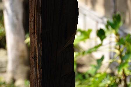 1005050903_DSC_5205
