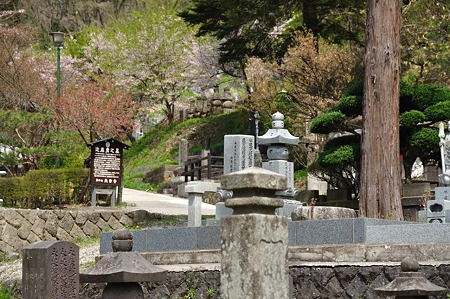 1005051310_DSC_5579