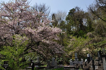 1005051313_DSC_5594