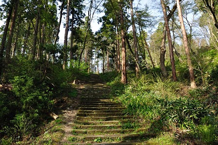1005051535_DSC_5878