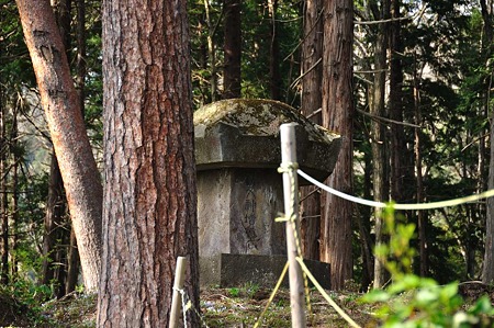 1005051541_DSC_5905
