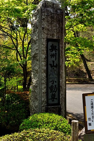 1005060934_DSC_6193