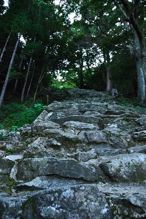 1009191613_DSC_2188