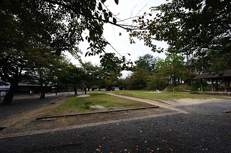 1010190953_DSC_2301
