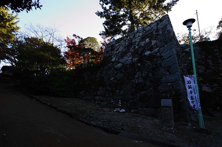1011231527_DSC_4782