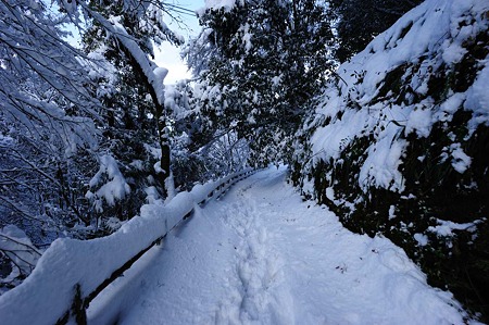 1101011152_DSC_6135