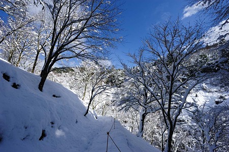 1101011159_DSC_6152