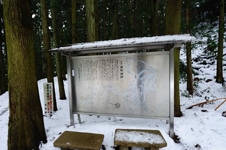 1101021224_DSC_7145