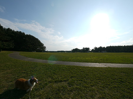 P1120568