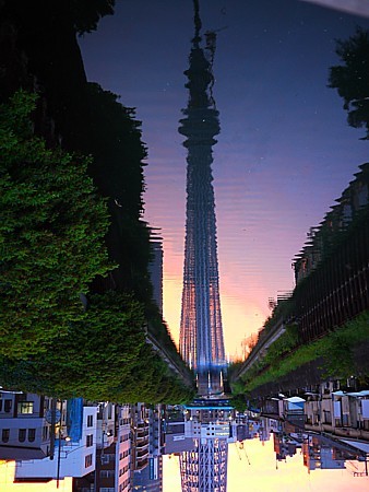 逆さスカイツリー
