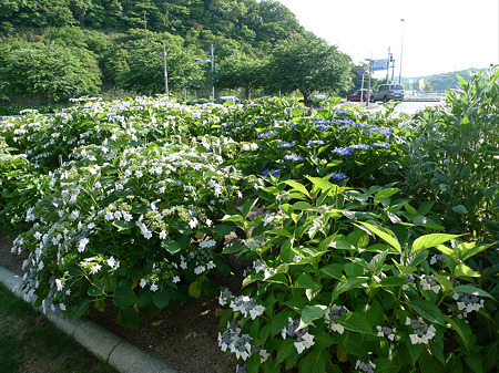 道の駅 豊前おこしかけ(3)