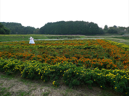 正助ふるさと村(9)