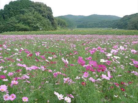 正助ふるさと村(3)
