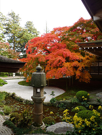 雷山千如寺大悲王院(6)