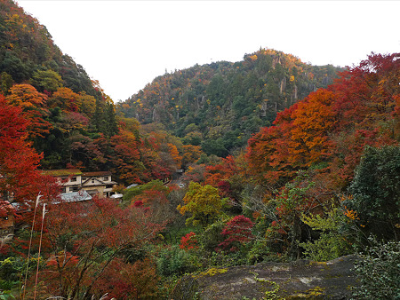 一目八景(31)