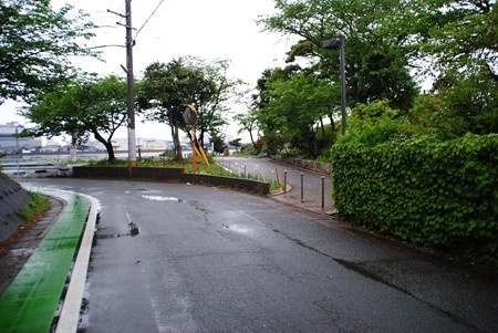 najimahotyuuseki02