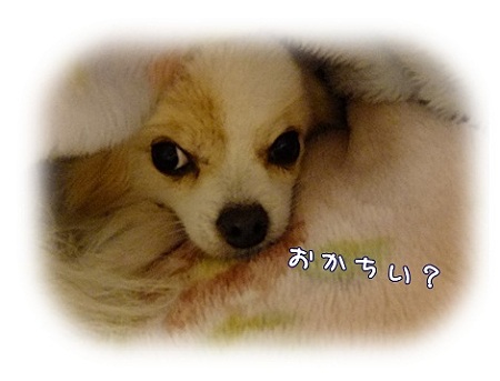 寒がりっ子