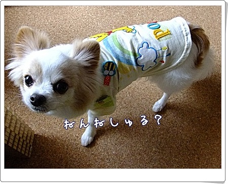 ねんね?