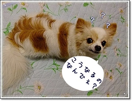なんで?