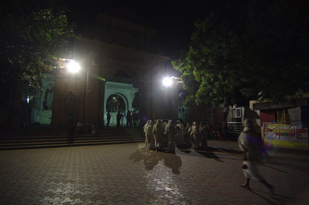 IMGP0516