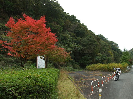 R429旧道調査-7