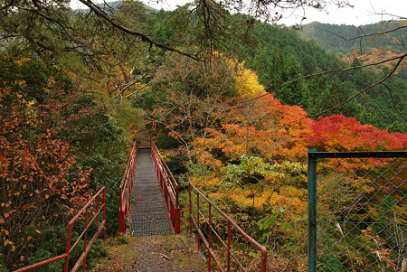 2010年・紅葉のR371-F