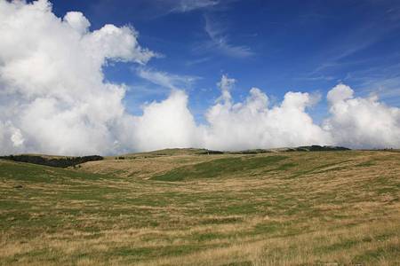 美ヶ原(王ヶ頭)-20100829-143116