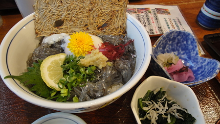 しらす丼 茅ヶ崎あさまる 生しらいもいいけど畳しらすも絶品!